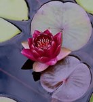 _20190719_164013.JPG _20190719_164013.JPG