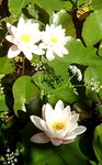 _20190719_170232.JPG _20190719_170232.JPG