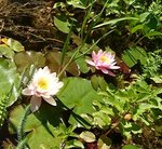 _20190719_164702.JPG _20190719_164702.JPG