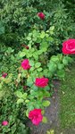 20190718_112406.jpg