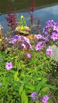 20190718_111637.jpg