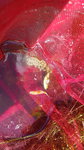 IMG-20190729-WA0006.jpeg IMG-20190729-WA0006.jpeg