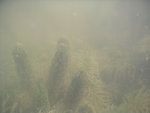 11C2C66B-DA3C-424A-9EE4-C8A6C331DE95.jpeg