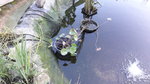 20190921_165042.jpg