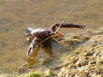 IMG_5113.JPG
