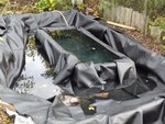 IMG-20190929-WA0000.jpg IMG-20190929-WA0000.jpg