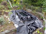 IMG-20190929-WA0001.jpg IMG-20190929-WA0001.jpg