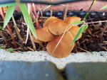 20191003_181518.jpg