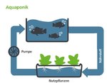 aquaponik-artikelbild-2_volle_breite.jpg aquaponik-artikelbild-2_volle_breite.jpg