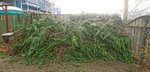 _20200307_160724.JPG _20200307_160724.JPG