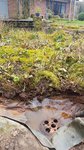 20200308_134457.jpg 20200308_134457.jpg