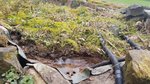 20200308_134432.jpg 20200308_134432.jpg