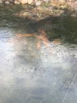IMG_6705.JPG