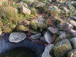 0CA09690-78E3-4F83-B8BC-38CAF73381D3.jpeg 0CA09690-78E3-4F83-B8BC-38CAF73381D3.jpeg