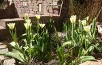 _20200410_202338.JPG