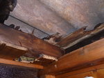 DSC00400.JPG DSC00400.JPG
