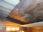 DSC00404.JPG DSC00404.JPG