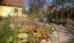 _20200419_183242.JPG _20200419_183242.JPG