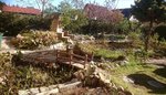 _20200419_183317.JPG _20200419_183317.JPG
