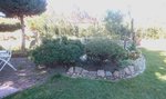_20200419_183638.JPG _20200419_183638.JPG