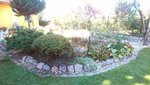 _20200419_183725.JPG _20200419_183725.JPG