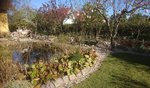 _20200419_183208.JPG _20200419_183208.JPG
