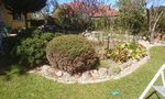 _20200419_183541.JPG _20200419_183541.JPG