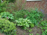 DSC00419.JPG