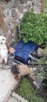 20200508_190249.jpg