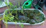 badewanne20090703.jpg badewanne20090703.jpg
