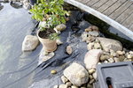 Teich_DSF4753.jpg Teich_DSF4753.jpg