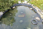 Teich_DSF4757.jpg Teich_DSF4757.jpg
