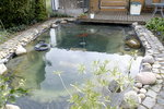 Teich_DSF4758.jpg Teich_DSF4758.jpg