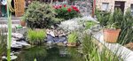 20200530_164526.jpg