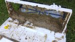 20200529_105710.jpg