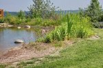 comp-IMG_9917.jpg