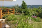 comp-IMG_9918.jpg
