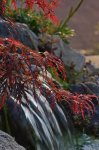 comp-IMG_9872.jpg
