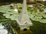 Teich 113.jpg
