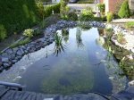 unser neuer Teich 043 (kleines Bild).jpg