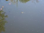 100_0097.jpg
