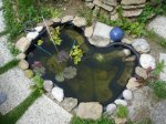 Teich.jpg