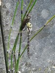 K1024_20200611_134536.JPG