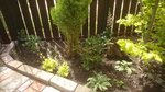 _20200612_222913.JPG