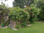 IMG_20200611_103810.jpg