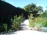 IMG_20200612_154053.jpg