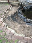 IMG_0426.JPG IMG_0426.JPG