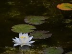 CO1_7485.jpg