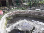 20200622_170424.jpg 20200622_170424.jpg