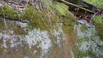 DSC_0579.JPG DSC_0579.JPG